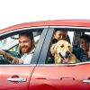 Dog Car Harness Duke Dixie Nylon Safety Seat Belt Strap-3