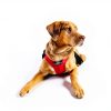 Sleepypod Dog Car Harness Safety Travel Pet Restraint-5