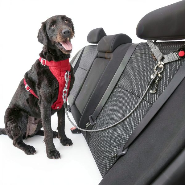 CHZUOBER Dog Car Harness Steel Cable Chew Proof Design-2