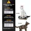 EzyDog Car Harness Crash Tested Universal Fit Pet Safety-3