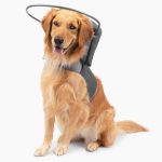 Muffins Halo Guide Blind Dog Harness Safety Support-0
