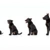 Mogoko Dog Car Harness Chew Proof Restraint Safety Leash-5