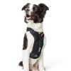 EzyDog Car Harness Crash Tested Universal Fit Pet Safety-2