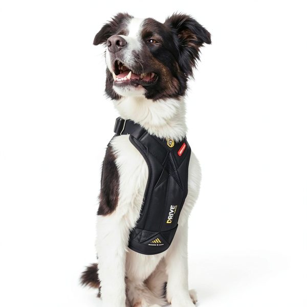 EzyDog Car Harness Crash Tested Universal Fit Pet Safety-2