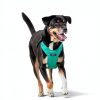 Sleepypod Dog Car Harness Safety Travel Pet Restraint-8
