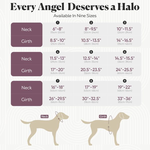 Muffins Halo Guide Blind Dog Harness Safety Support-6