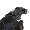 EzyDog Car Harness Crash Tested Universal Fit Pet Safety-6