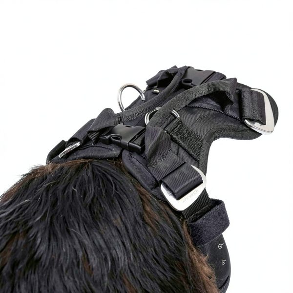 EzyDog Car Harness Crash Tested Universal Fit Pet Safety-6