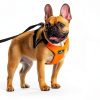 Sleepypod Dog Car Harness Safety Travel Pet Restraint-7