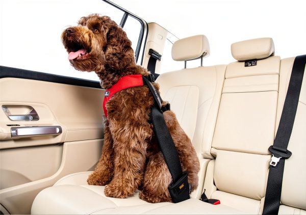 Sleepypod Dog Car Harness Safety Travel Pet Restraint-1