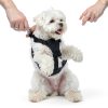 Dog Car Harness Duke Dixie Nylon Safety Seat Belt Strap-2