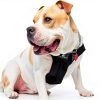 Sleepypod Dog Car Harness Safety Travel Pet Restraint-4