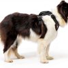 EzyDog Car Harness Crash Tested Universal Fit Pet Safety-7