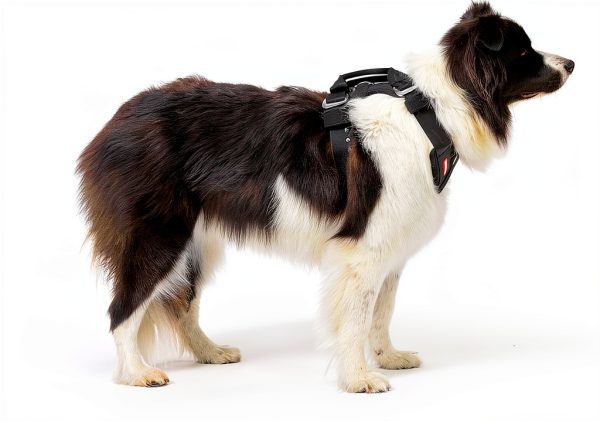 EzyDog Car Harness Crash Tested Universal Fit Pet Safety-7
