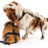 Mighty Paw Dog Car Harness Black Safety Design-3