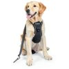 VavoPaw Dog Car Harness Safety Vest-6