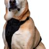 Mighty Paw Dog Car Harness Black Safety Design-2
