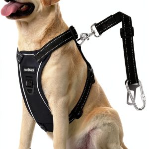 VavoPaw Dog Car Harness Safety Vest-0