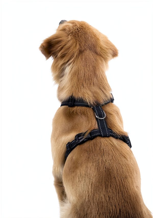VavoPaw Dog Car Harness Safety Vest-3