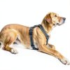 VavoPaw Dog Car Harness Safety Vest-5